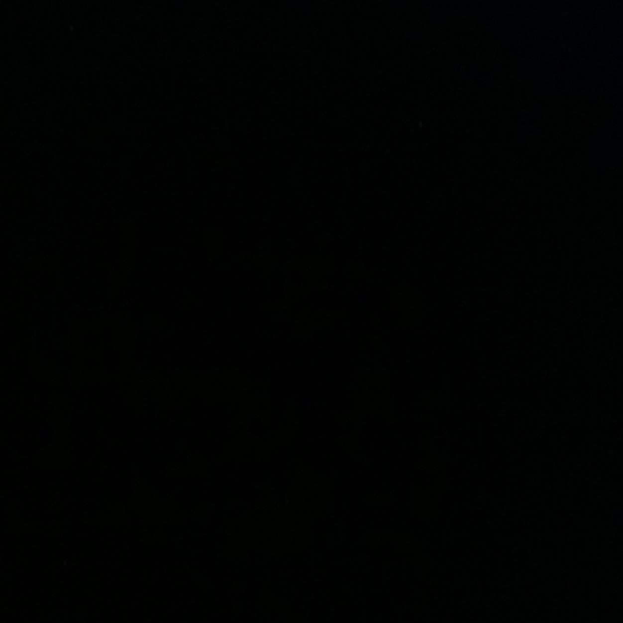 | insta : nielsderksenn