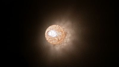 フェニミスト
