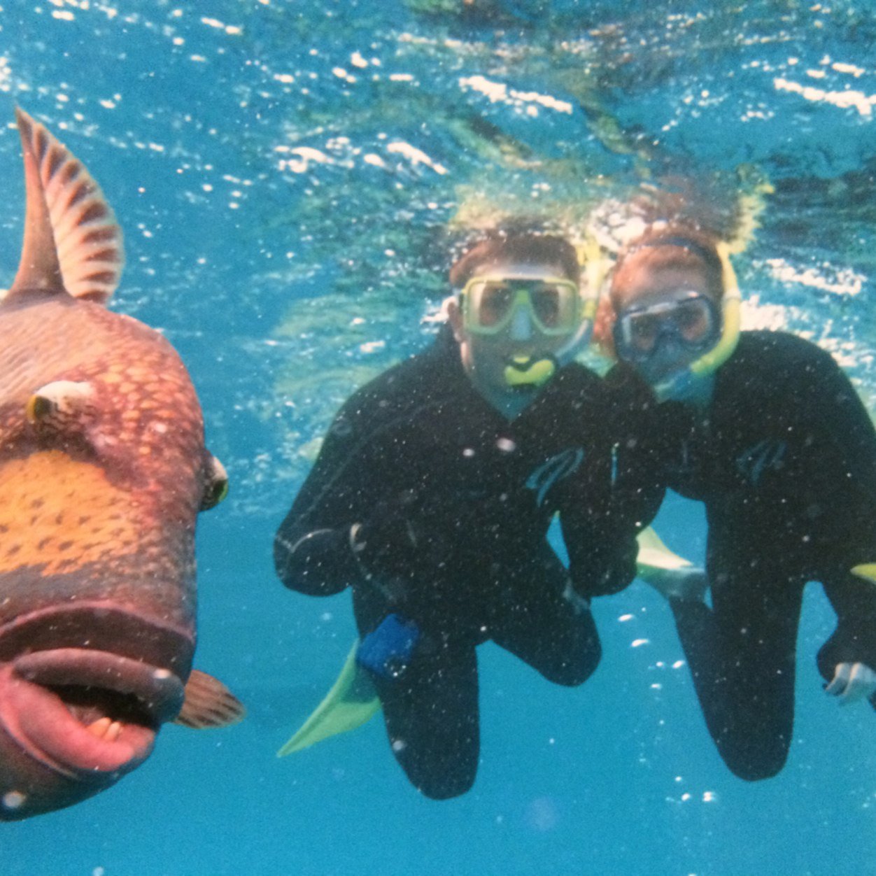 Lwoody7's profile picture. Certified Athletic Trainer-Clarinda Regional Health Center