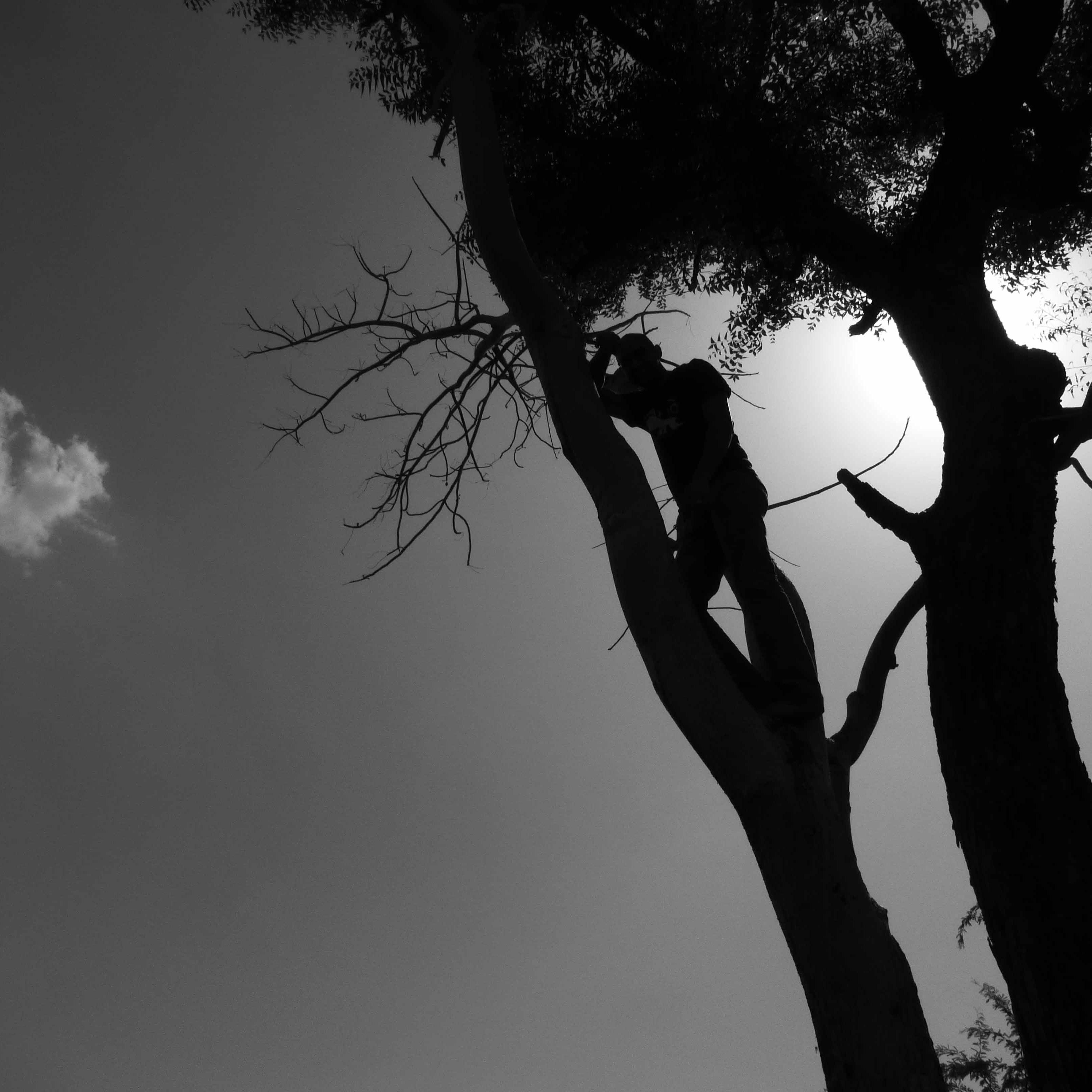 arijitknandi's profile picture. 