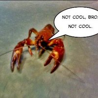Jason (@doshondos) 's Twitter Profile