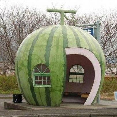 msti_55's profile picture. 