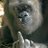 matute1481's profile image