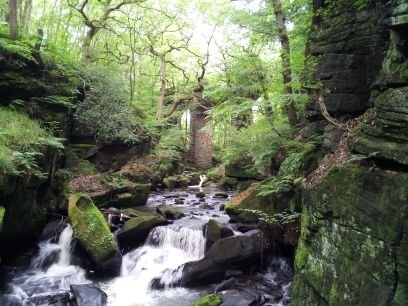 pskowal's profile picture. 