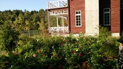 pontml_dlf's profile picture. 障害者ながらギャル目指し中！バンドやってます。ベース＆ボーカル担です。ダンスも好きです。Lead、ＡＡＡ、等々。