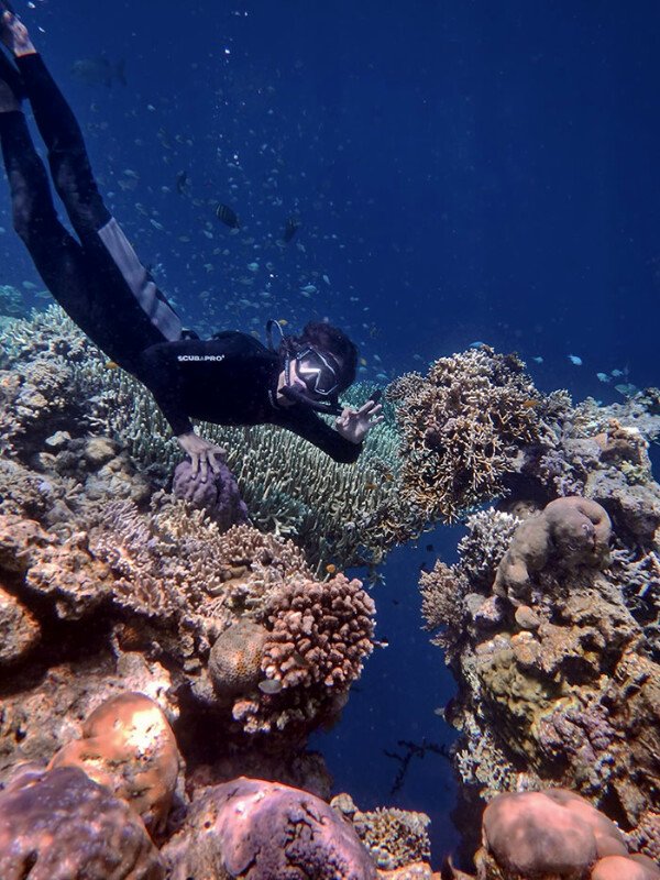 fleotourID's profile picture. Paket tour .. Karimunjawa | Menjangan - Tulamben Bali | Menjangan - kawah ijen | Explore Gili Lombok | Gili labak madura .