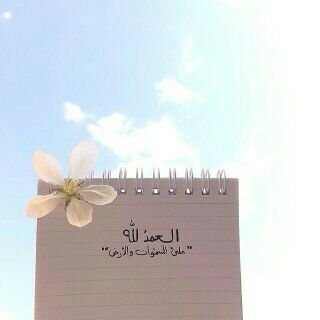 ا‏مك راضيه عليك؟ خلاص الباقين وضعية الجدار.