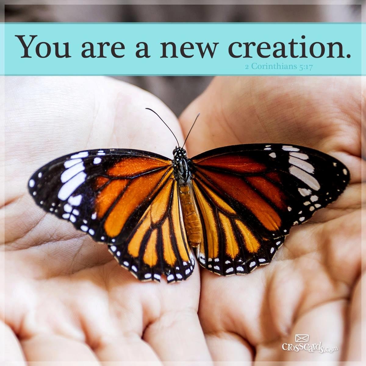 Simpsonvaleria's profile picture. A servant of my Lord & Savior JESUS CHRIST, striving constantly for perfection