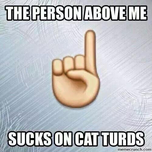 soges do not eat cat turds xD!!