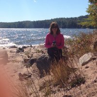 Lisa Pung (@punglisa) 's Twitter Profile