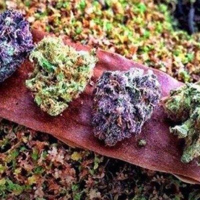 staytrillordie's profile picture. get high stay lifted