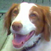 Susan Drzewicki (@rustyandsue) Twitter profile photo Susan Drzewicki (@rustyandsue) Twitter profile photo