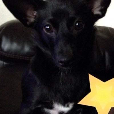 Kristin099's profile picture. 