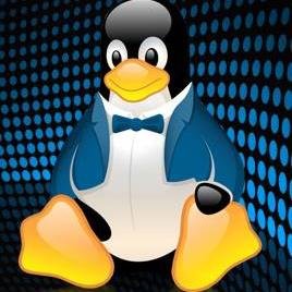 IT Sysadmin , Network Administrator and more