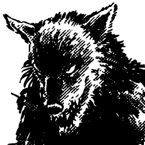 Wolfman Jerk Profile