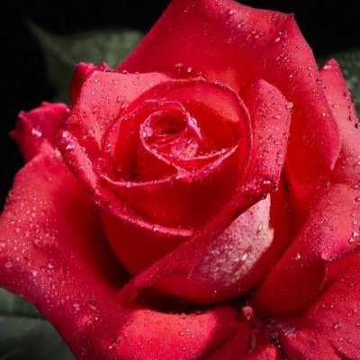 emad642002's profile picture. 