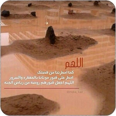 بعض الناس .. اذا وجدوا من يسعده اليوم نسي من أسعده بالامس  7EE22705
