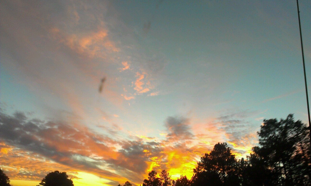 mommydear1's profile picture. 