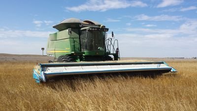 Father of three, husband of one, weekend farmer, engineer to pay for the prior mentioned.