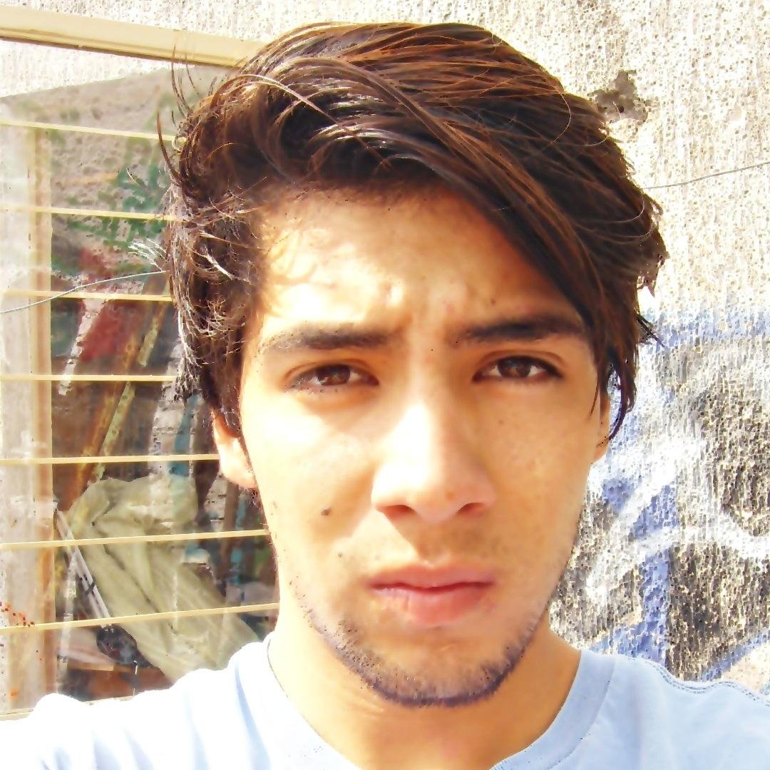 Soy un gato gordo
