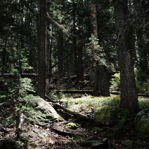 toddneedsadvice's profile picture. Riding Bikes, Teaching Science