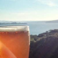 Beer Jerk (@beerjerknz) 's Twitter Profile Photo