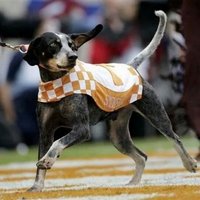 Adam McCulley (@adam_mcculley) 's Twitter Profile
