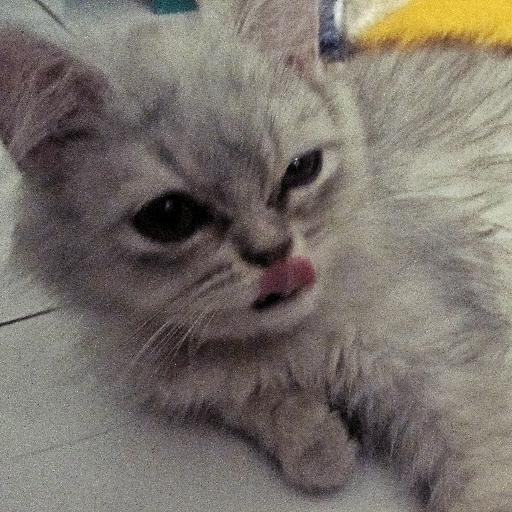 makan,main,bobo
--kepunyaan @depthbase