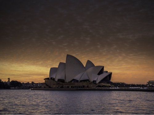 sritt206's profile picture. 