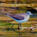 Michele Carver - @enlair3 - Twitter