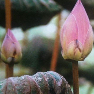 Unfassbargefasst Profile