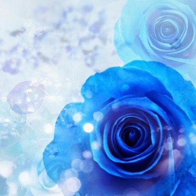 ayano_milkey_67's profile picture. 委員長さんやっとる 愛犬は ここ君…。愛知の何処か ひっそりと バンギャやってるよ TWINS→もちすけ