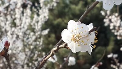 除恶务尽