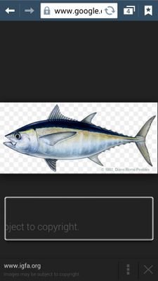 3 time runner up of the national two stepping compitition and if theres a fish ill catch it