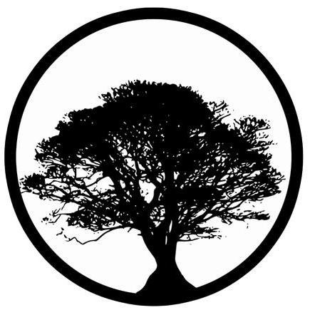 robleacupuntura's profile picture. El Roble es un proyecto de acupuntura. Acupuntura al alcance de todos.