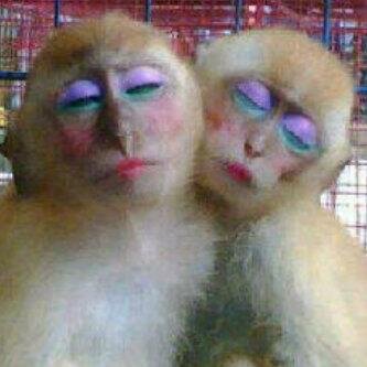 Dijelasinpun tetep aja #Kamprets bwt loe =))