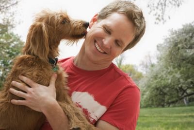 MuddyPawsEssex's profile picture. Professional Pet Sitting, Dog Walking and Home Boarding Individually Tailored For Your Best Friends Needs