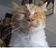 I'm an environment guy at Dell, and a kitty doorman at home.  That should about cover it.