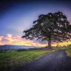 The picture that wants to be painted while painting that wants to be pictured.