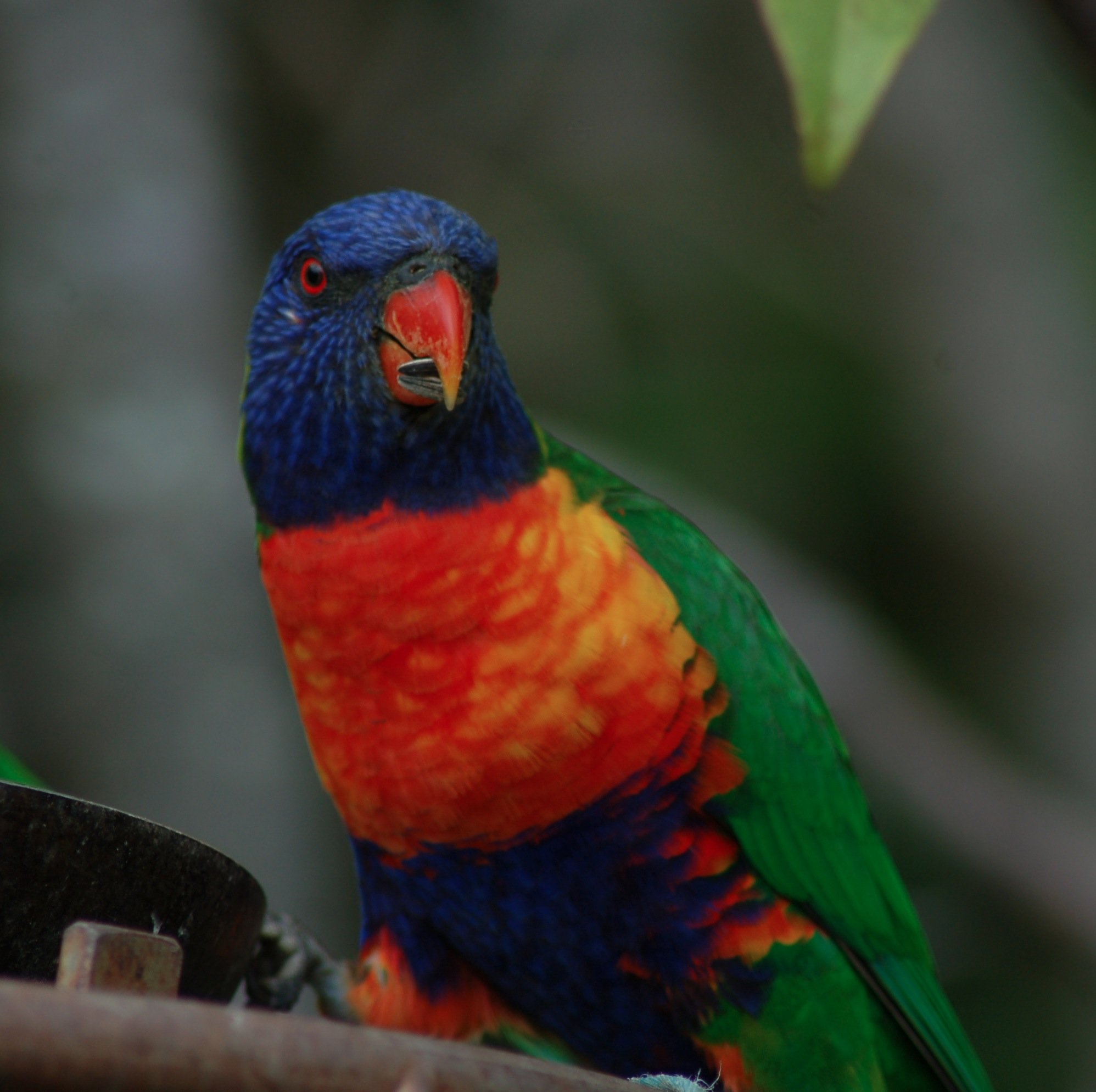 MDphotography4's profile picture. Hi im Mathew Drinkall an amateur Photographer.