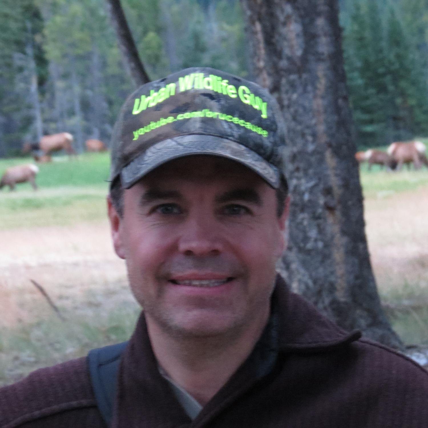 Follow The Urban Wildlife Guy As I Explore & Film Wildlife In The City. http://t.co/k1KiHkx9TR http://t.co/HMrmslPt6s