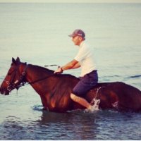 Moloney Racing (@moloney_racing) 's Twitter Profile