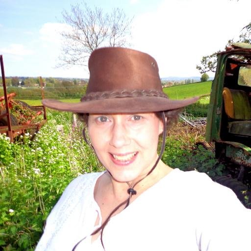 Carole_Cochrane's profile picture. Dorset Designer + maker. Loves the Coast ! Dorset