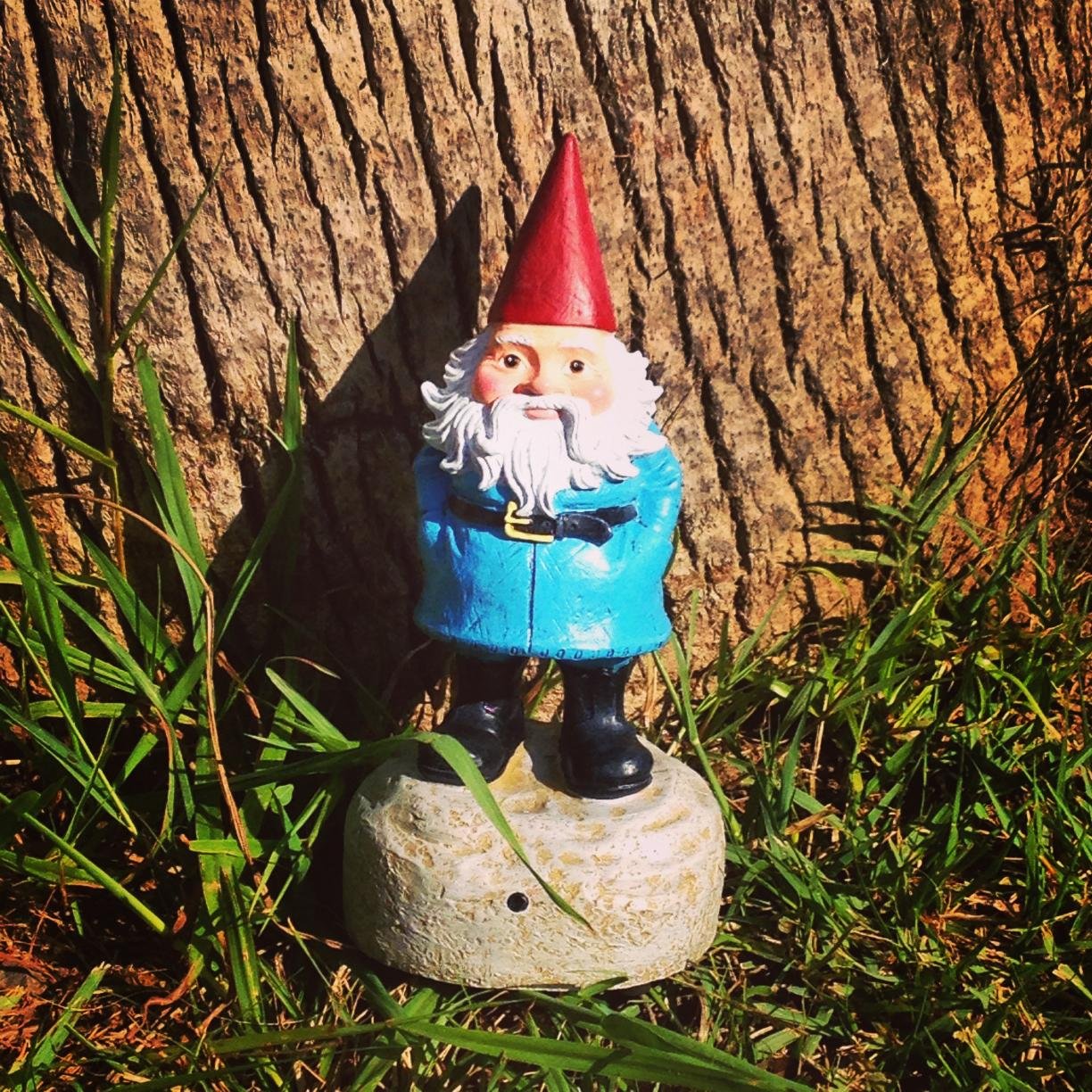 Mr Gnome (Traveller_Gnome) Twitter Mr Gnome (Traveller_Gnome) Twitter