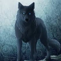 Name:Jake gender:Male stats:single pack:none