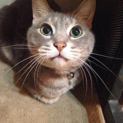 なのに残りの時間をすべて捧げますChimoRoidを生きがいに働く一般人 / うだちゃん /日向なの/ファッション｜写真投稿垢 @naoyphoto