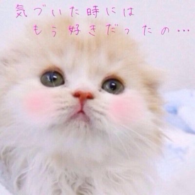 あなたの事が好きでたまらない Renairenai4 Twitter