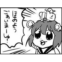 かもさんのプロフィール画像