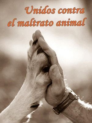 Profesor de Anatomía Comparada en la Facultad de Veterinaria de la UCM. Equipos de Investigación de Atapuerca y Kesem Kebena (Etiopía)