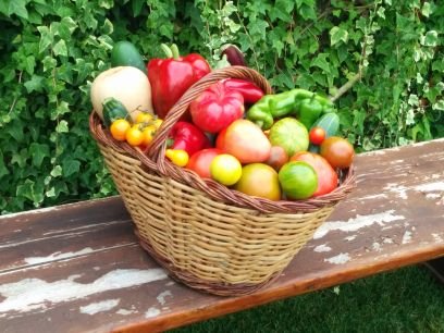 Somos #huerters y productores de plantel para tu huerto. Tienda Online. https://t.co/NKECiZHPkI